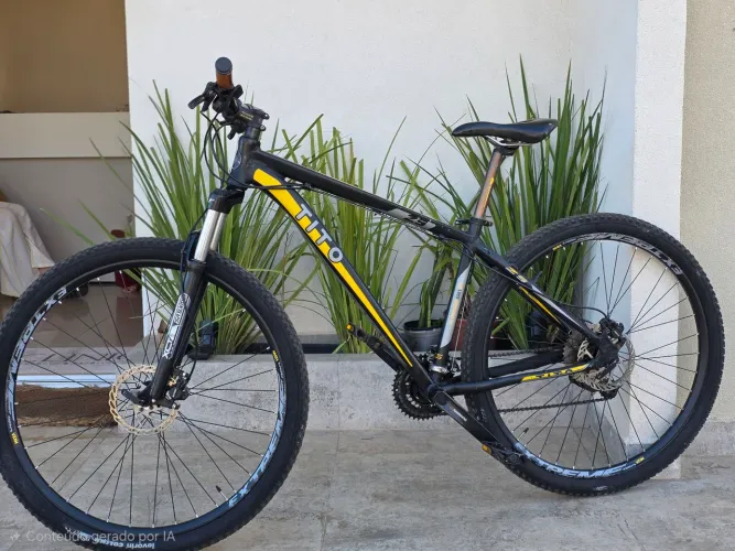 Bicicleta aro 29