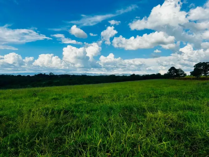 Super Lançamento em Santa Luzia de Terrenos 24.000m2 com Parcelas de 2.340,00