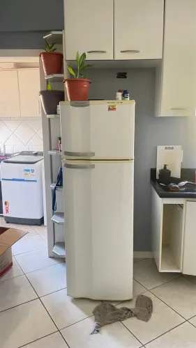 Geladeira 220v