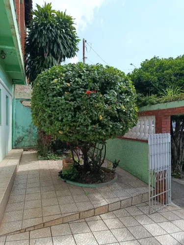 Jardinagem