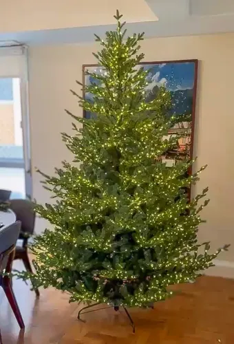 Árvore Natal Pinheiro Relista 2.10 3 mil leds