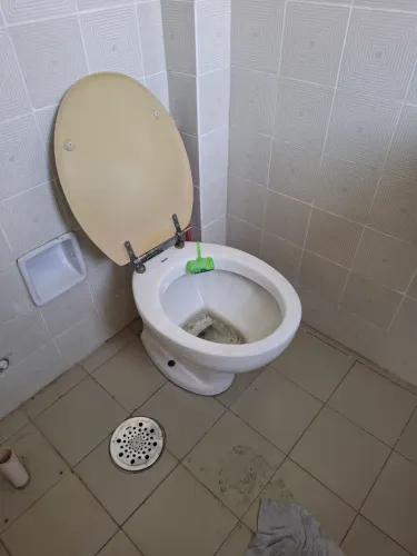 VASO SANITÁRIO CELITE FORMATO OVAL COM TAMPA BEGE