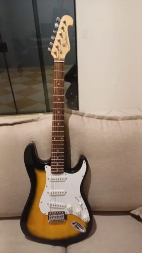 Vendo Guitarra Shelter Califórnia SSS ano 2015. Impecável seu estado de conservação.