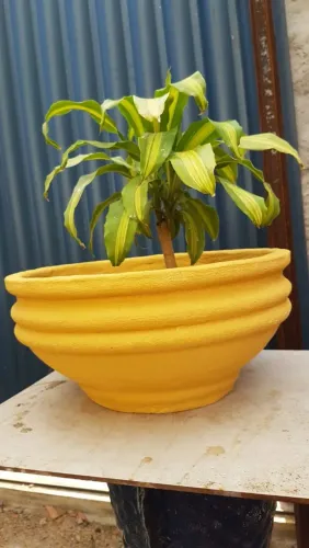 Vaso para plantas cimento 