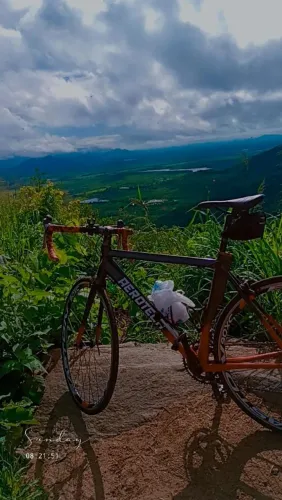 Ciclismo de estrada