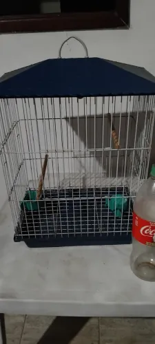 Vendo gaiola para calopsita