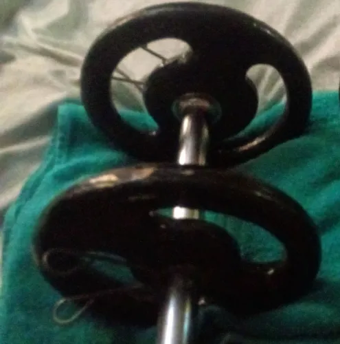 Alters c anilhas  10kg 