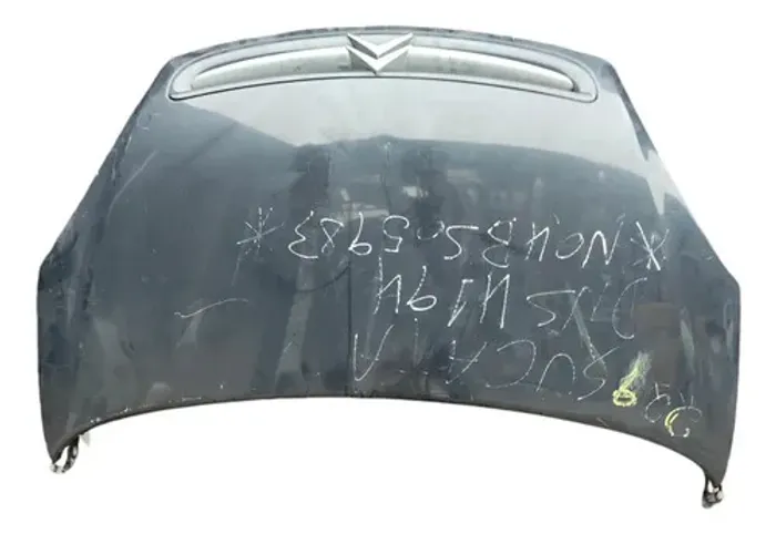 Capo Frontal Citroen Xsara 2004 2005 2006