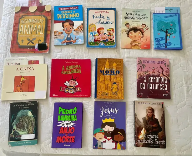 Livros paradidáticos