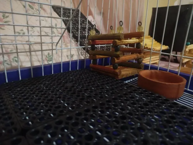 Gaiola para porquinho da Índia ou mini coelho