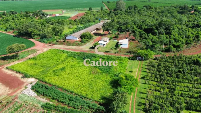 Chácara à venda sentido Indianópolis com 20 mil metros e com um Galpão de Granja