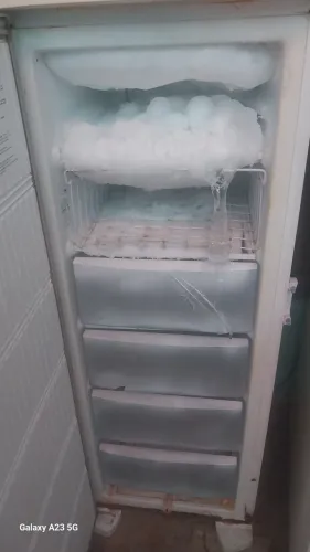 Frize vertical 
