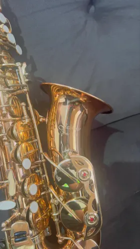 ? Saxofone Alto Jahnke JSAH001-LQ - Revisado
