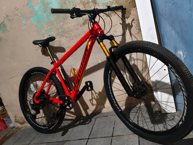 BICICLETA ARO 29