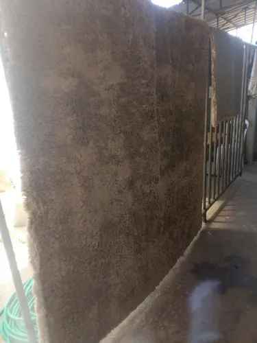 Tapete 2,5 m de comprimento e 1,90 de largura