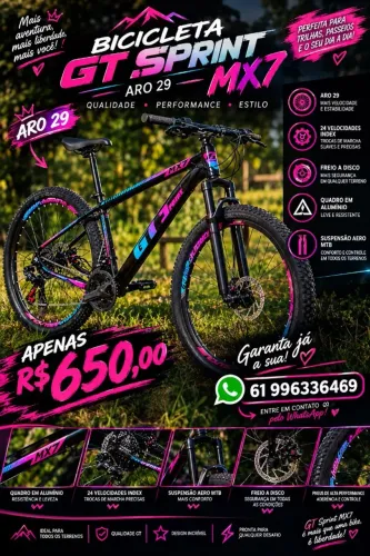Bicicleta