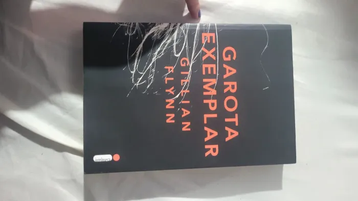 Livro A Garota Exemplar 