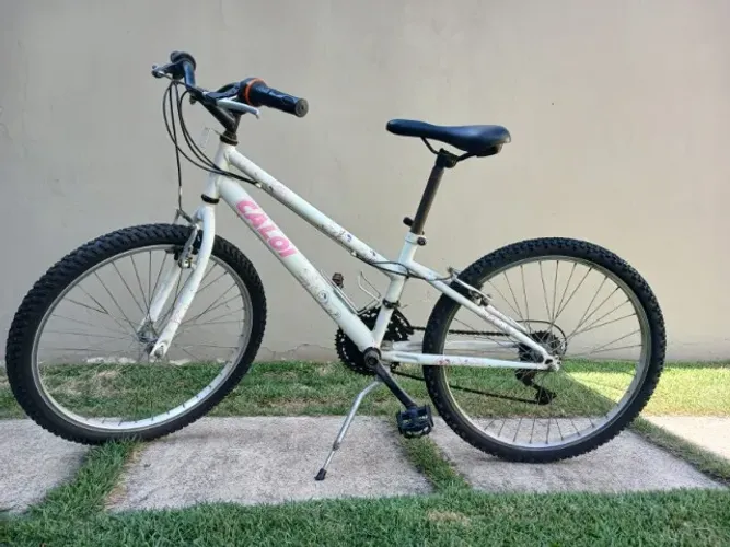 bicicleta ceci aro 24