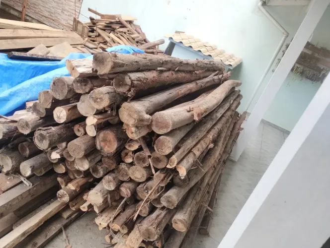 Vendo 100 escoras de eucalipto de 3 mts