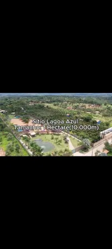 Venda de plantação de Lichia, com sítio incluso caso queira.
