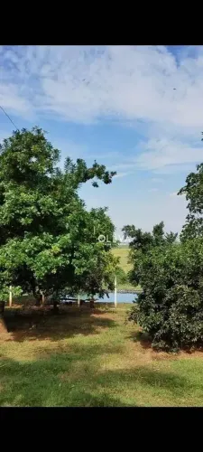 Chácara à venda, 24200 m² por R$ 1.200.000 - Zona Rural - Monte Aprazível/SP