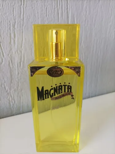 Perfumes masculinos