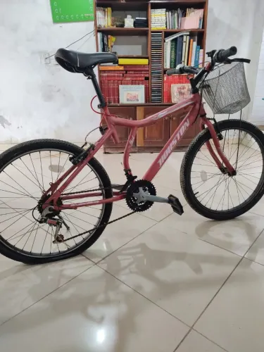 Bike aro 24
