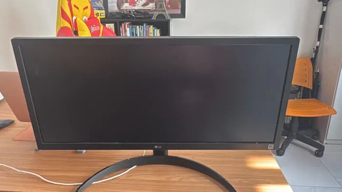 Monitor LG UltraWide 26" IPS Full HD 75Hz HDR 26WQ500 (Tenho 2 unidades)