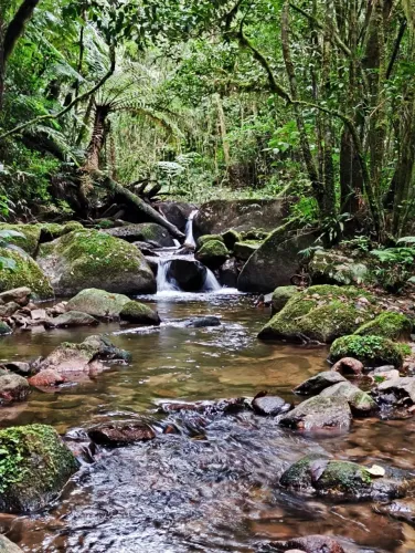 Terreno para sítios em Anitápolis SC
