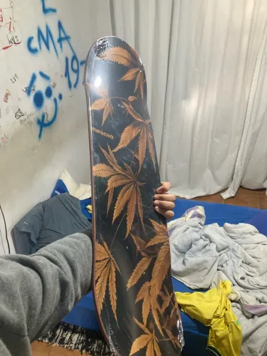 Shape de maple 8.25 zero no plástico