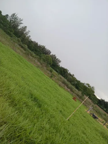 Terreno 14x25m 350m² Bairro Campininha, Cesário Lange ? Fácil acesso à Castelo Branco