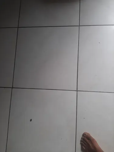 Passos e reformas diária aparte de140 pintor bombeiro