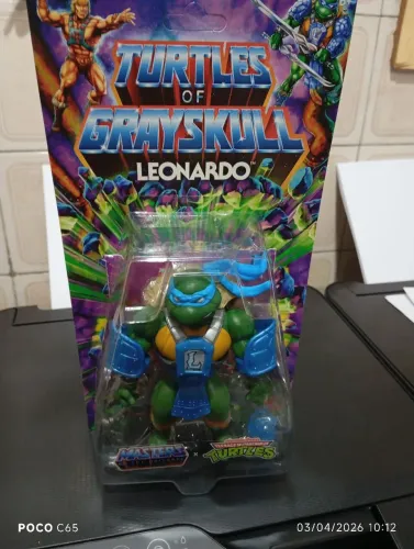 Leonardo turtle of Grayskull Motu He Man Mattel