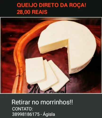 Queijo fresco direito da fazenda 