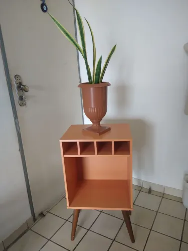 Um Móvel Retro/Junto com uma Planta Espada de São Jorge 