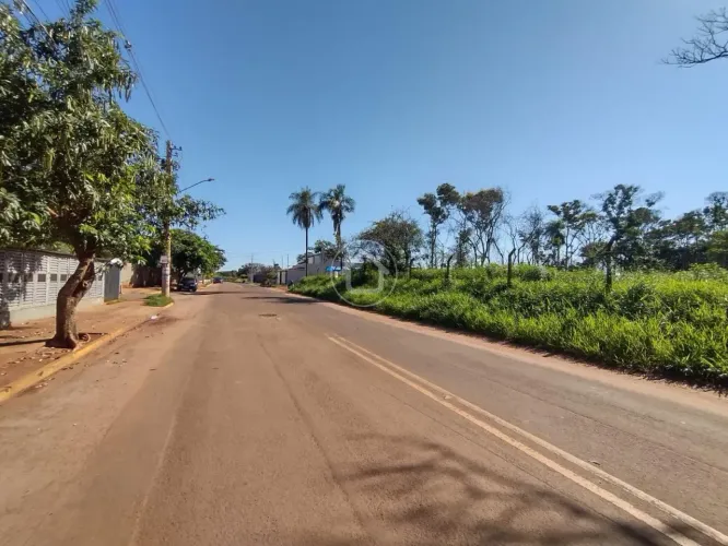 ÁREA 10.000 M2 PARA INVESTIDOR - JD MONTE ALEGRE