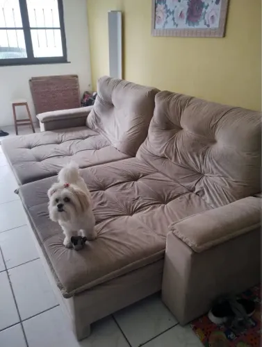 Sofá 2.50 x1.00