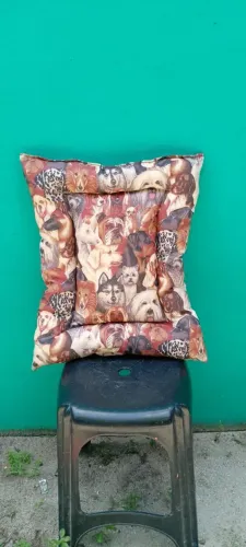 Colchonetes para PETS 