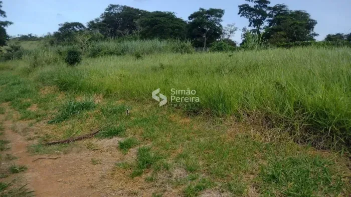 Terreno para venda com 3300m² em Centro - Simão Pereira - MG