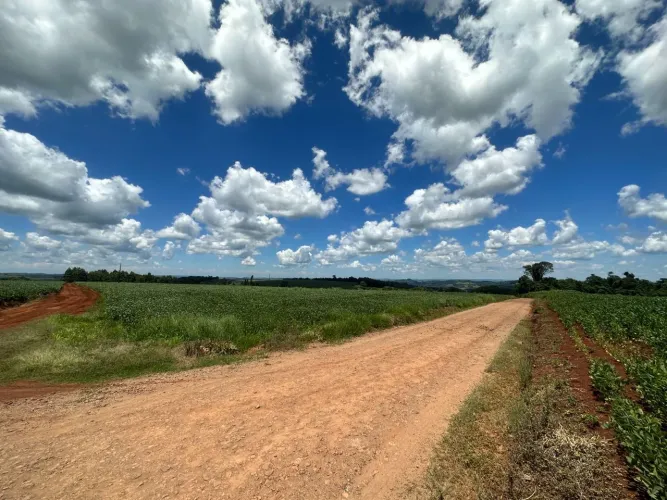 Fazenda/Sítios/Chácaras Rio Do Salto