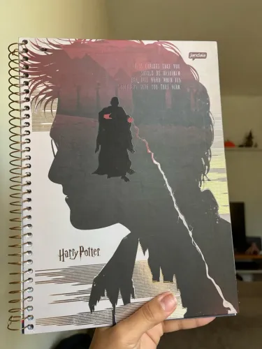 Caderno Harry Potter Jandaia 80 Folhas - Novo e Completo