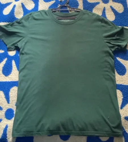  camiseta hering básica verde musgo tamanho m perfeito estado