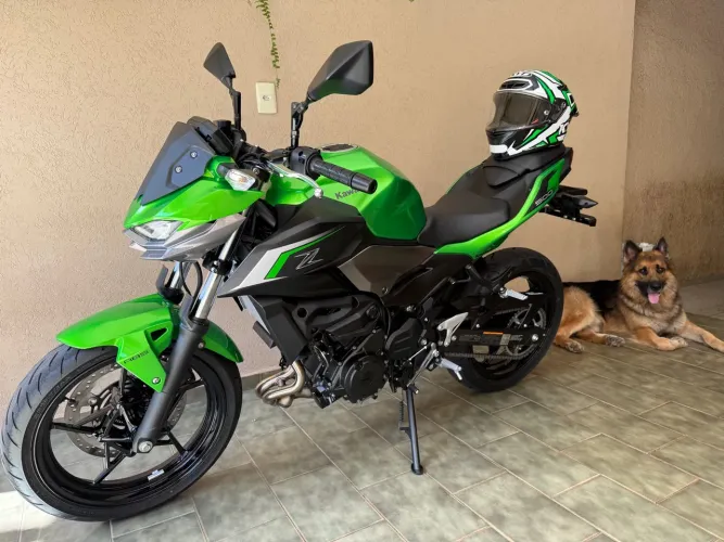 Z500 2026 Zerada