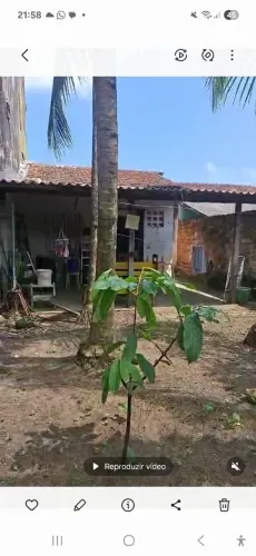 Vende-se este lindo quintal