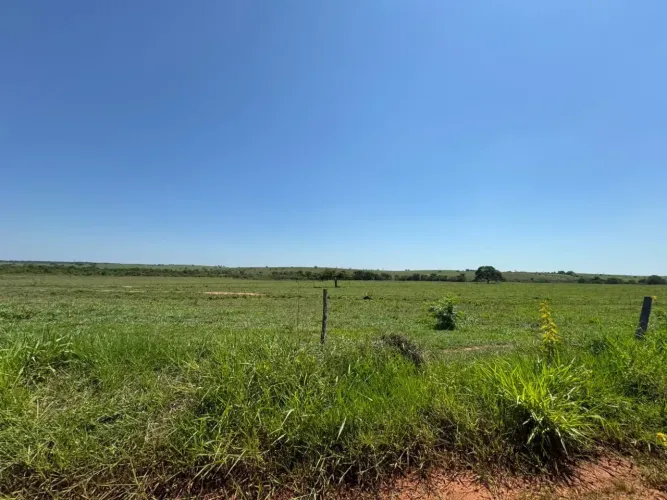Venda de Sitio em Caiuá, SP  48 Alqueires