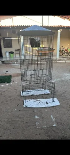 Gaiola grande