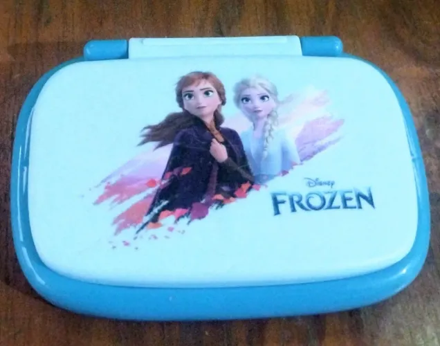 Lap Top Frosen 