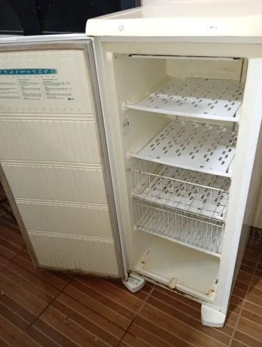 Frizer vertical Electrolux 