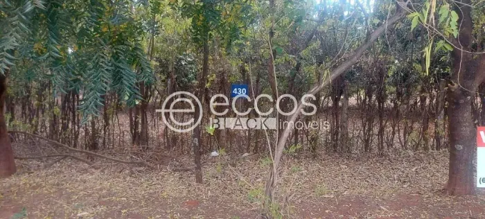 Terreno em condomínio à venda, Jockey Park - UBERABA/MG