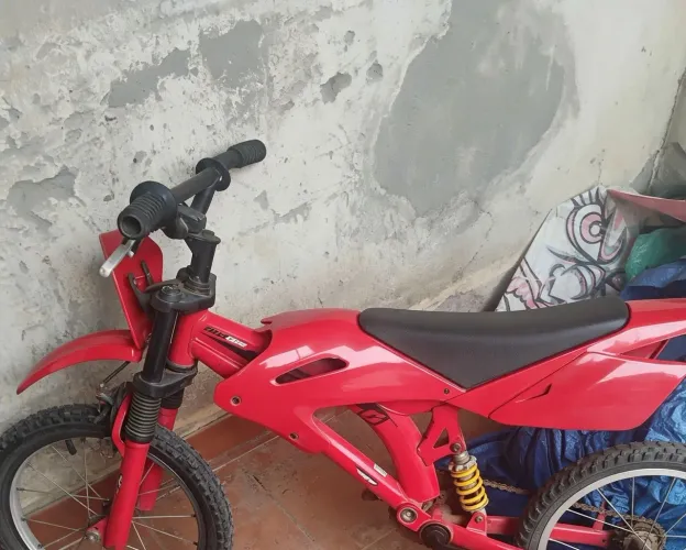 Bicicleta